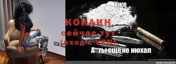 гашик Армянск