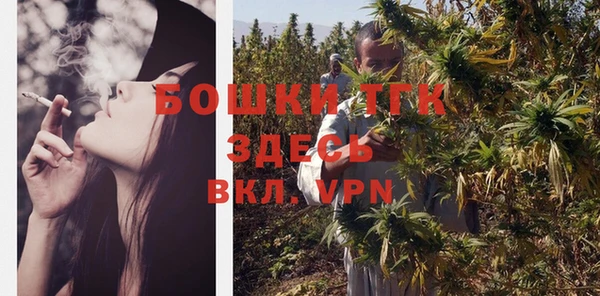 прущие грибы Аркадак