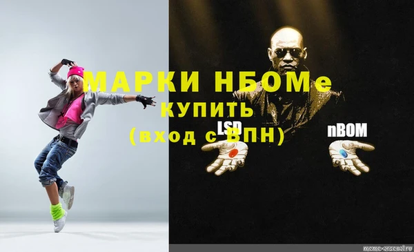 прущие грибы Аркадак