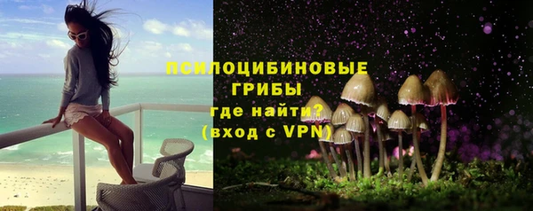 прущие грибы Аркадак