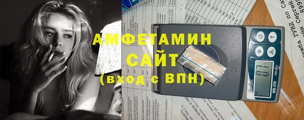 прущие грибы Аркадак