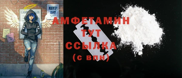 прущие грибы Аркадак