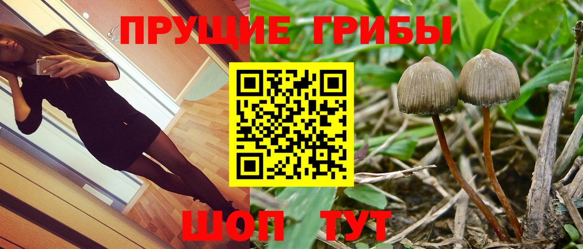 Раменское  Галлюциногенные грибы мухоморы  Вход с VPN 